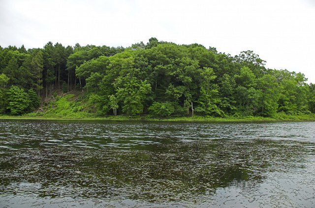 gallery img 75