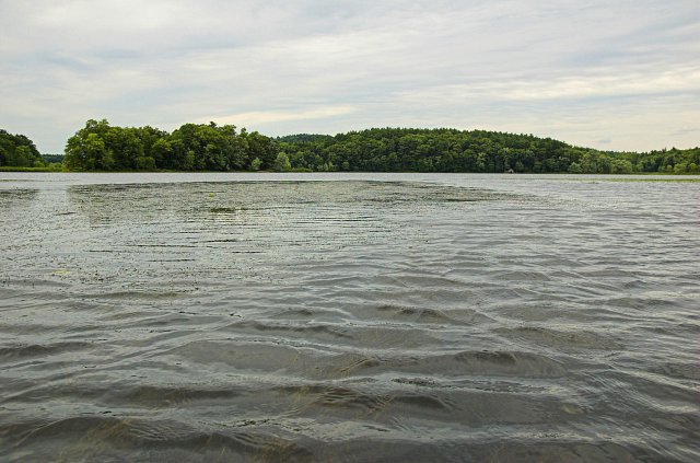 gallery img 74