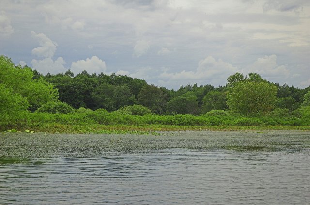 gallery img 68