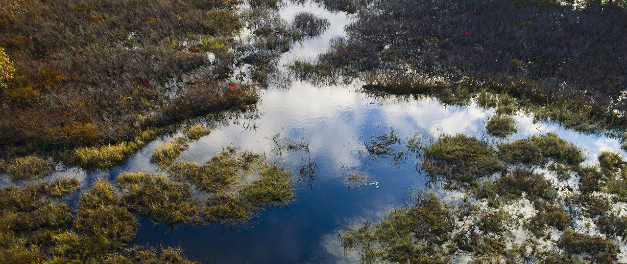 Self-guided walk at Nashawtuc Hill, Concord Land Conservation Trust