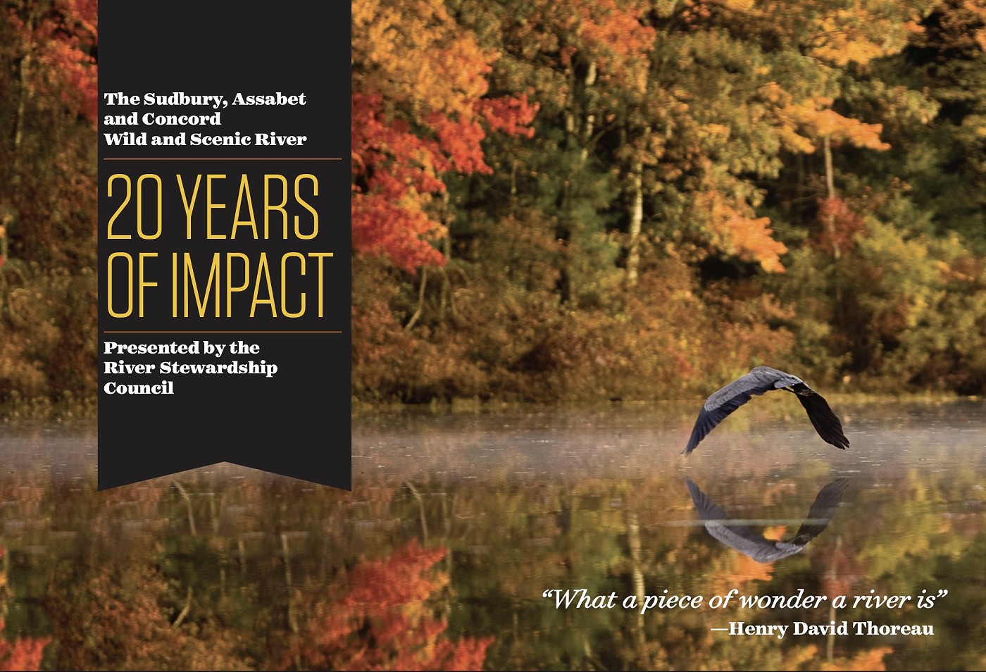 20 Years of Impact