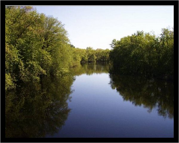 gallery img 11