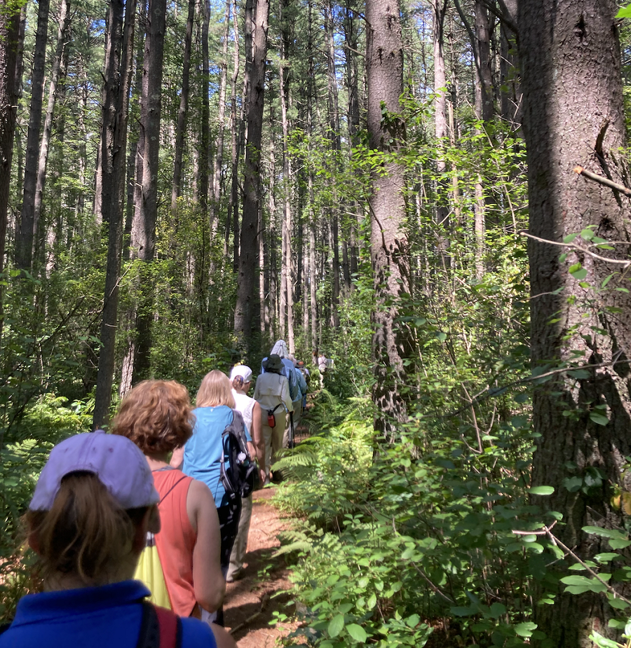 Carlisle Trails Walk (8/13/23)