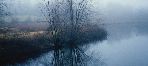 gallery img 24