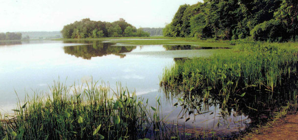 gallery img 23
